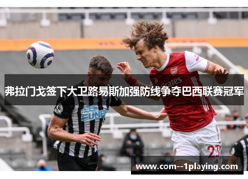 弗拉门戈签下大卫路易斯加强防线争夺巴西联赛冠军